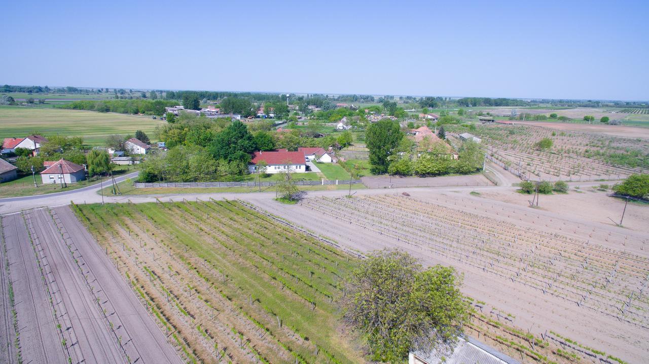 Tölgyfa Vendégház Kiskorös Exterior foto